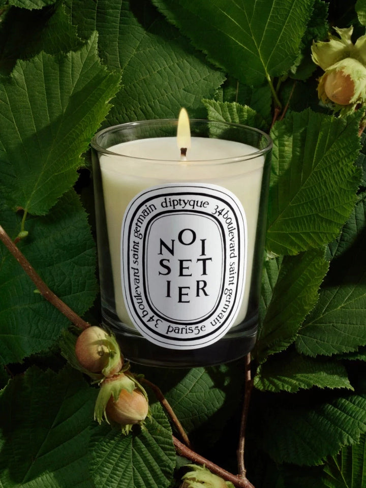 Noisetier Candela - Candela - DIPTYQUE - Alla Violetta Boutique